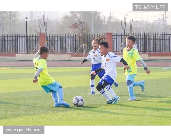 文安绿茵梦少年逐光追风展激情挥洒汗水共筑足球荣光 文安绿茵梦少年逐光追风展激情挥洒汗水共筑足球荣光